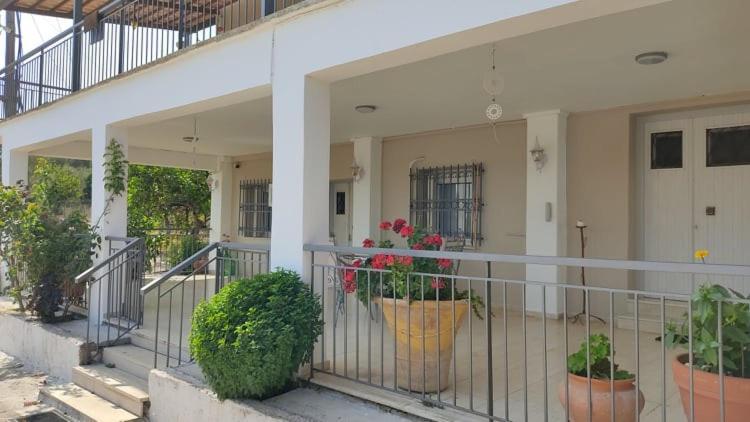 Mallios Country House Near Ancient Olympia Bagian luar foto